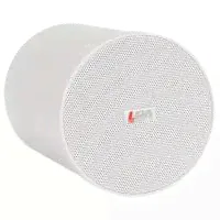Громкоговоритель LPA-10P